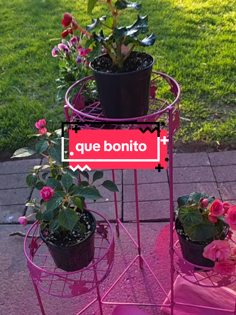 @✾🩷ᴍᴀʀᴛɪɴᴀ ʀᴇʏᴇs ᴍᴀʟᴅᴏɴᴀᴅᴏ🩷 ✾