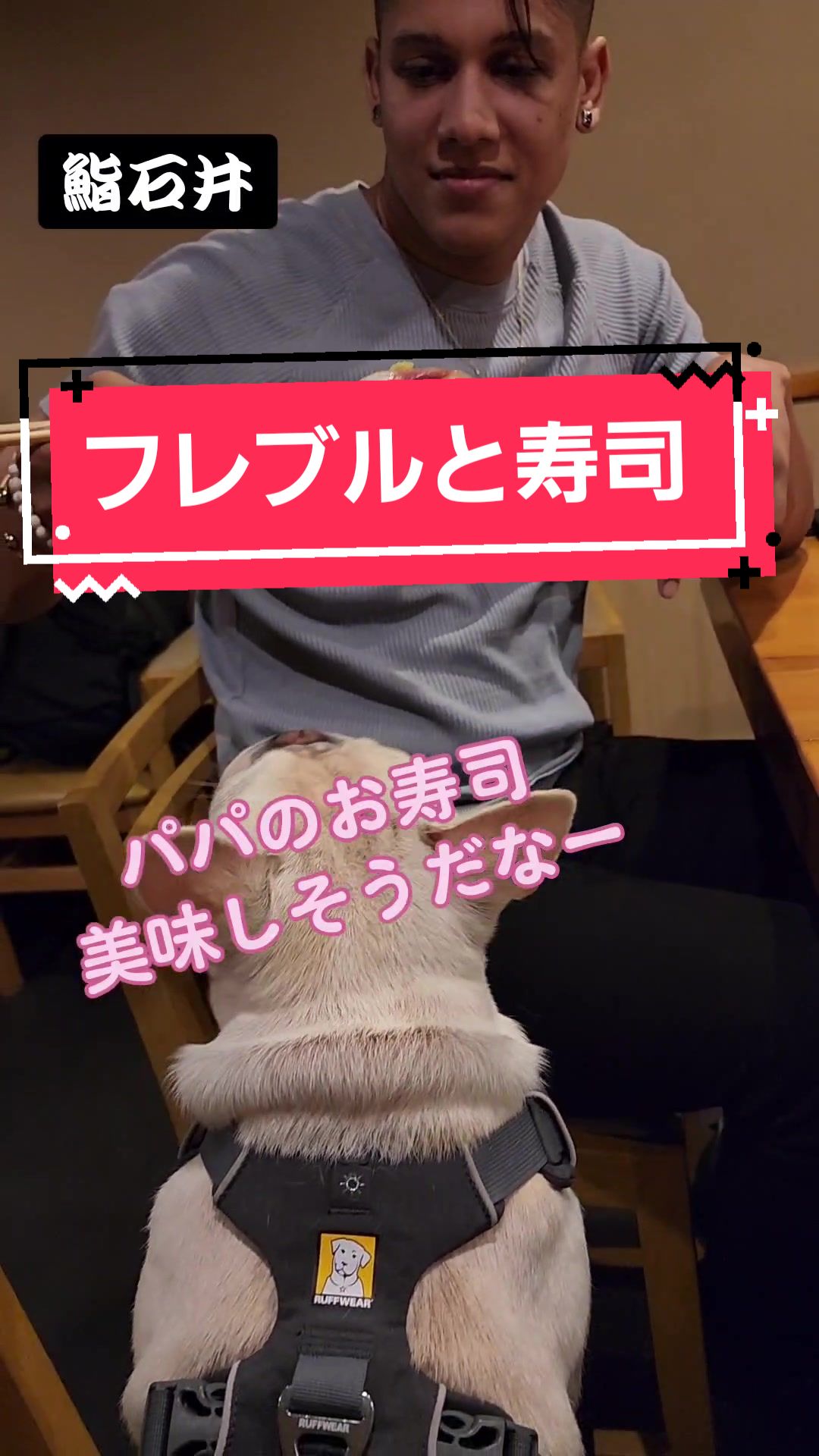 @フレブルJesse ❤️ MyO