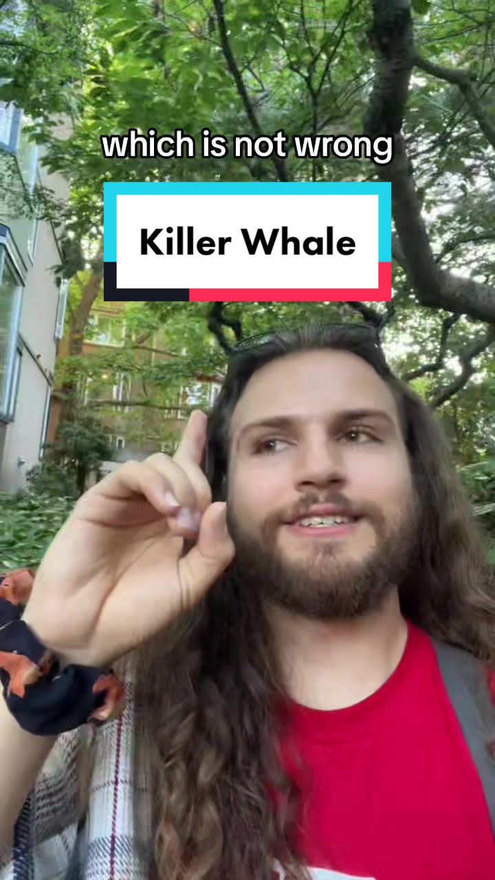 @The Orca Man