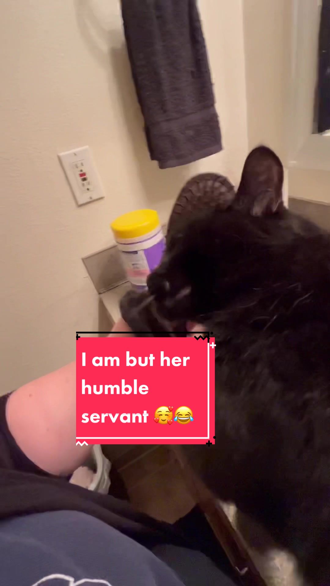 @Teaweaselstopmo