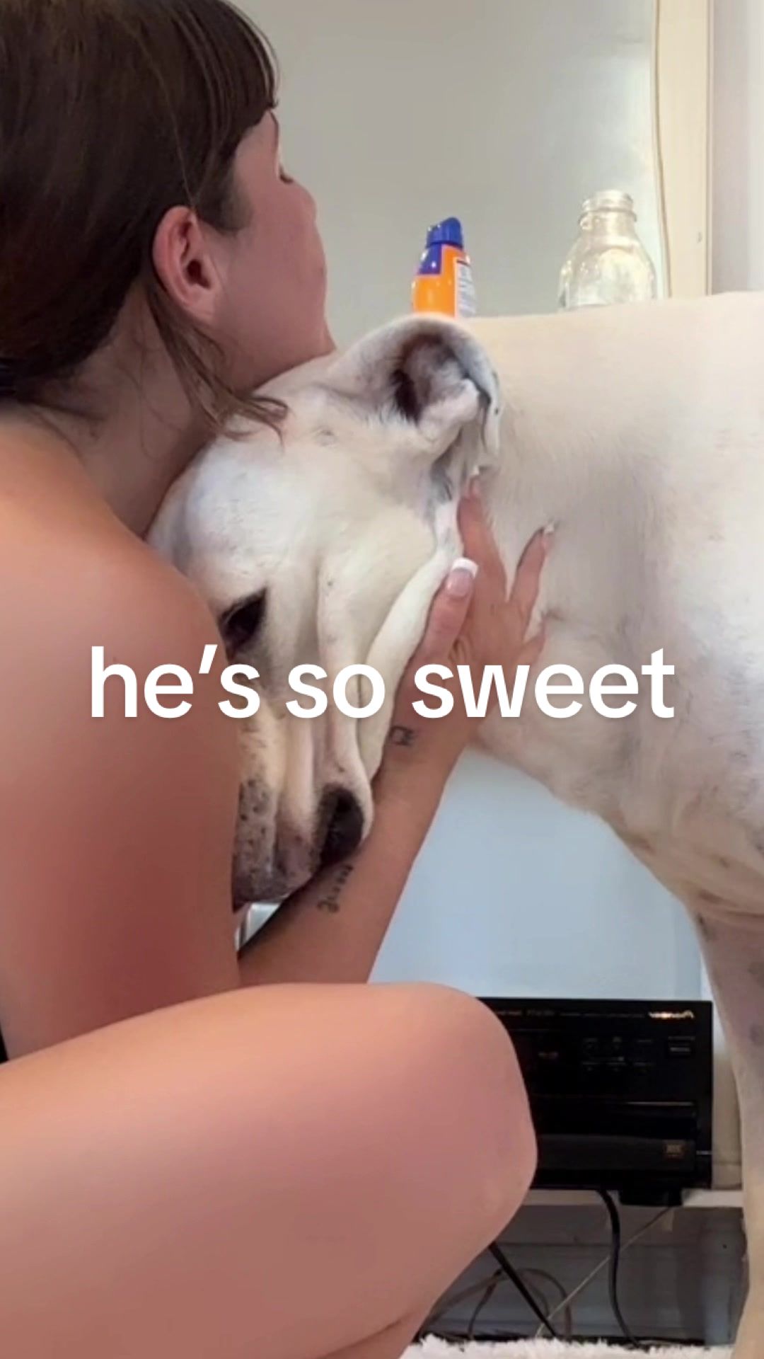 @bo