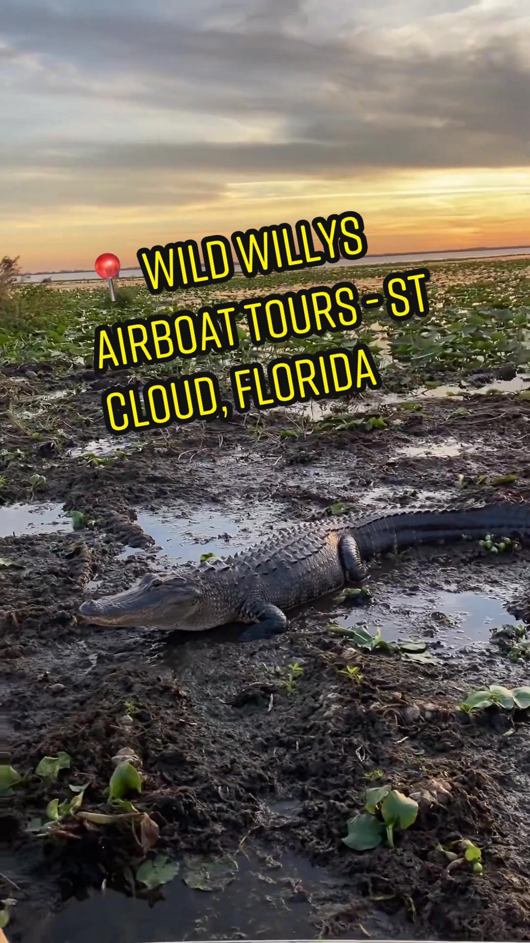 @try.new.places