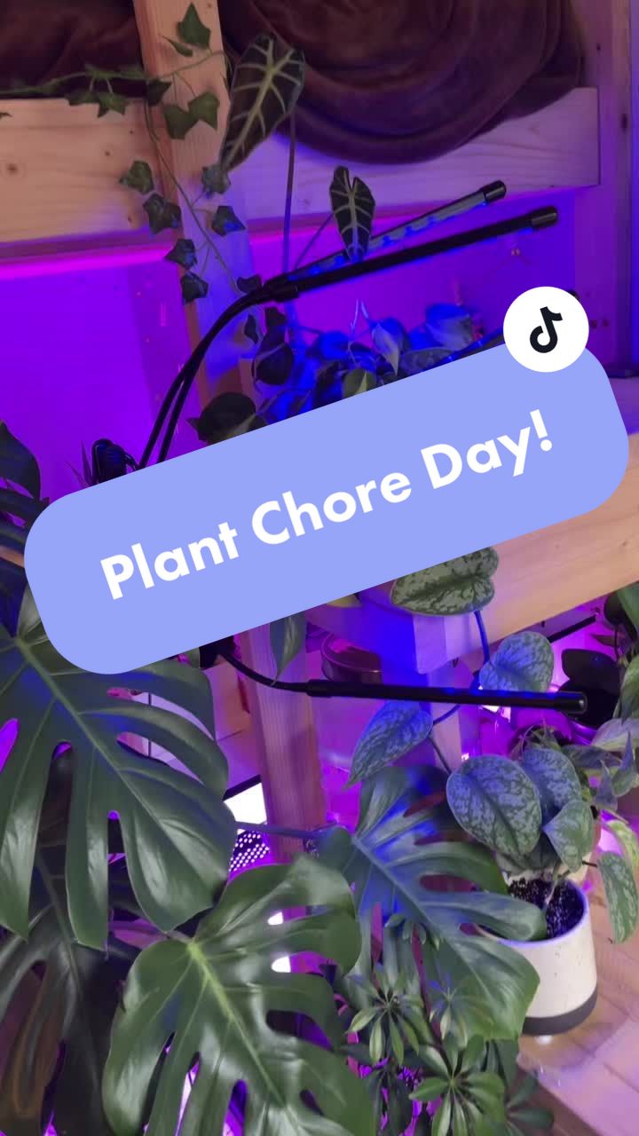 @plants 🌿