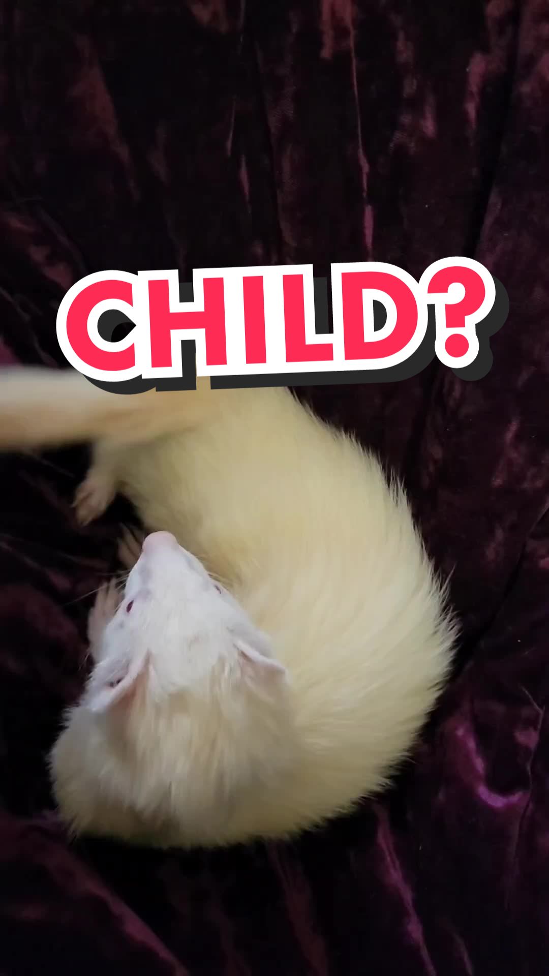 @Fuchsia