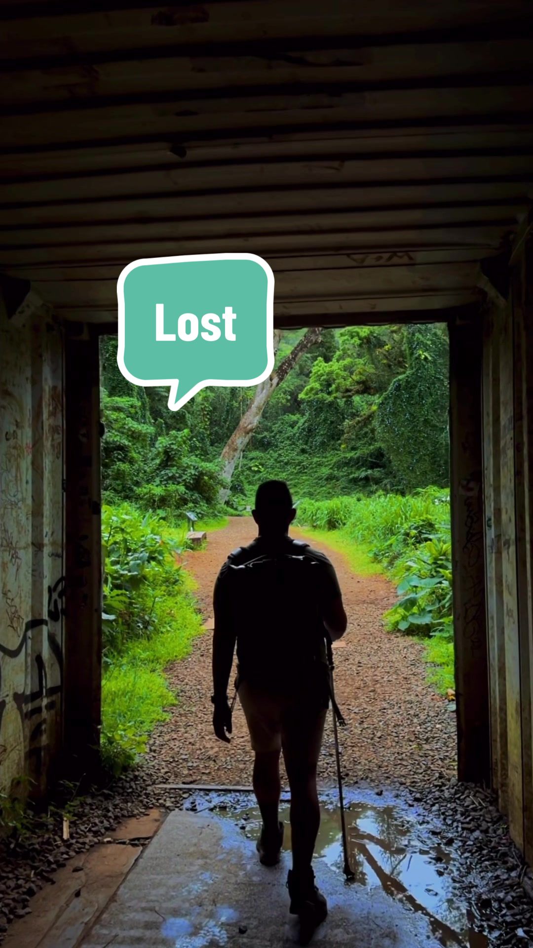@Hawaii tiktok