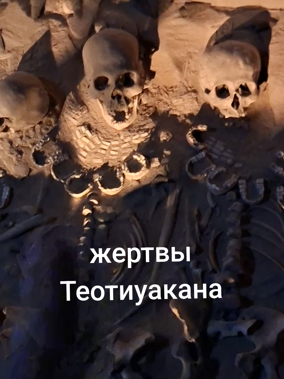 @Софа с байками 📜