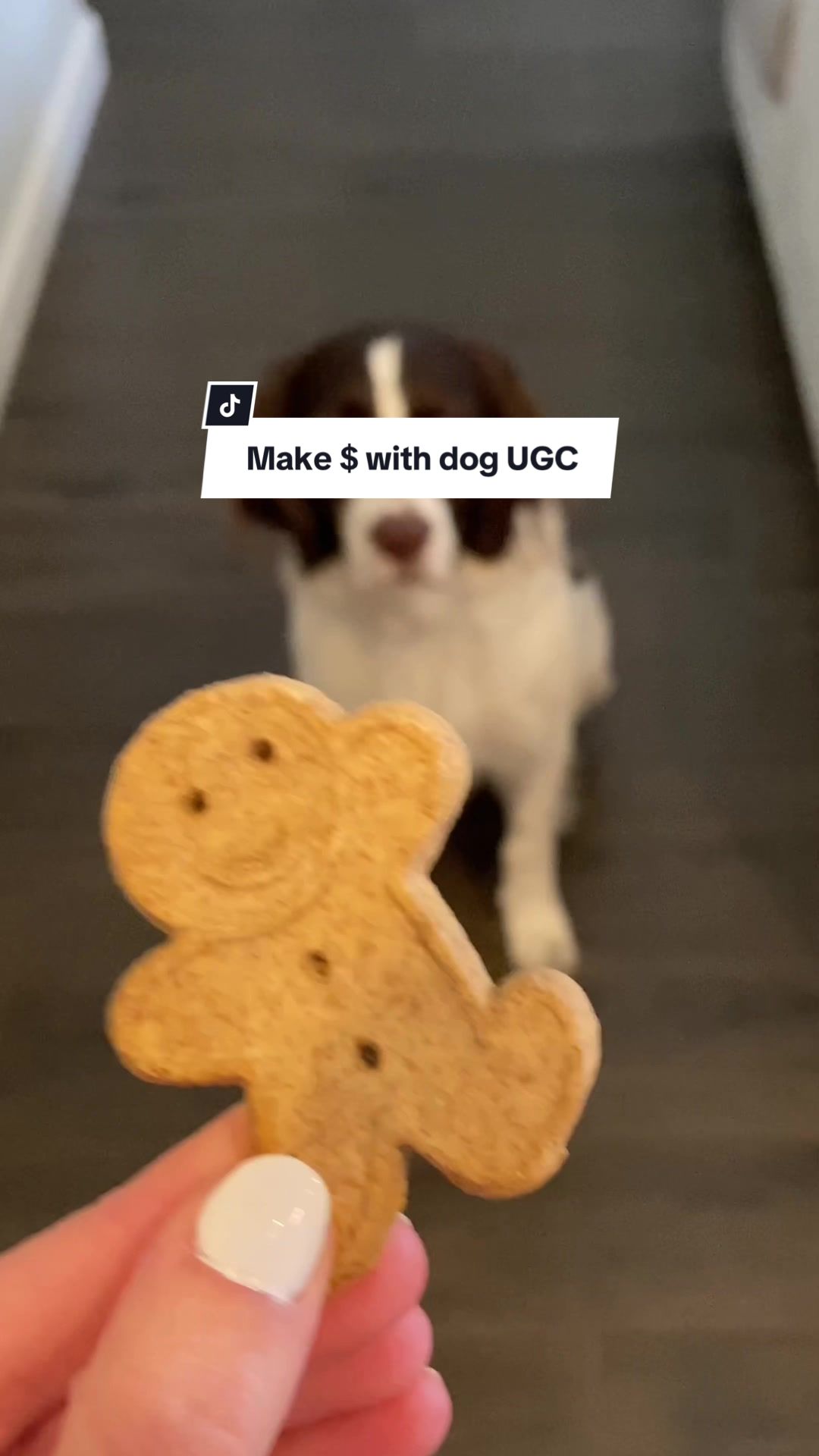 @Steph | UGC & Content Creator
