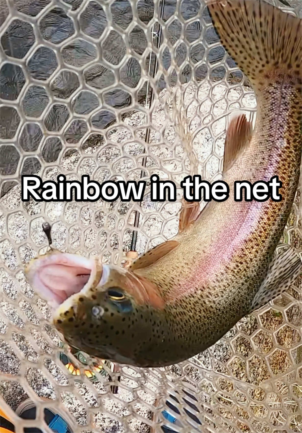 @TroutDoor | Fly Fishing