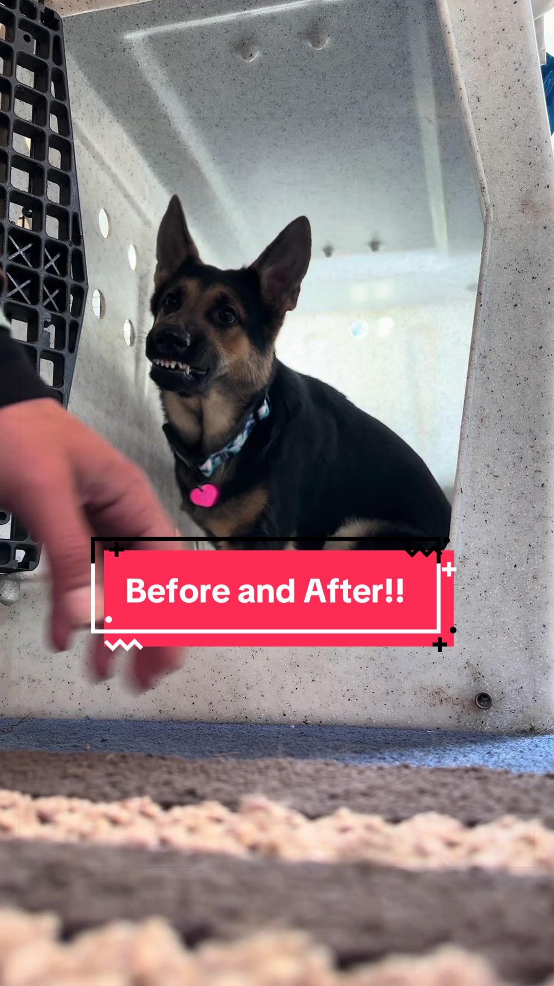 @OUTBOUNDDOGS
