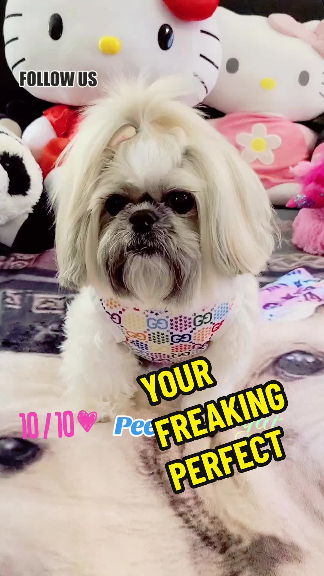 @peeweeandmiley