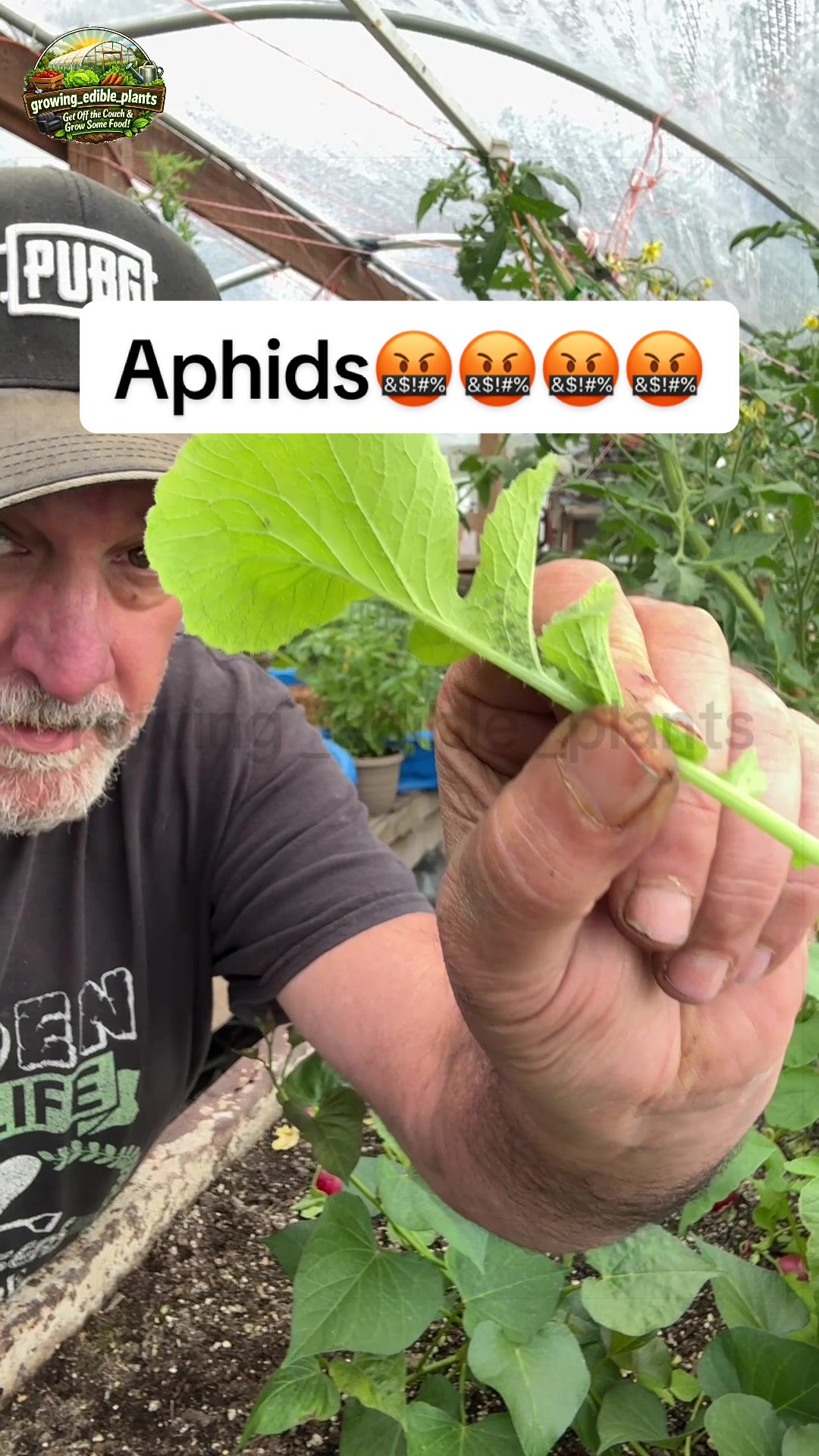@GROWING_EDIBLE_PLANTS