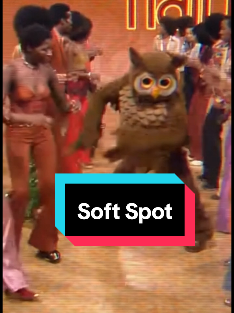 @Owl Dudes 🦉