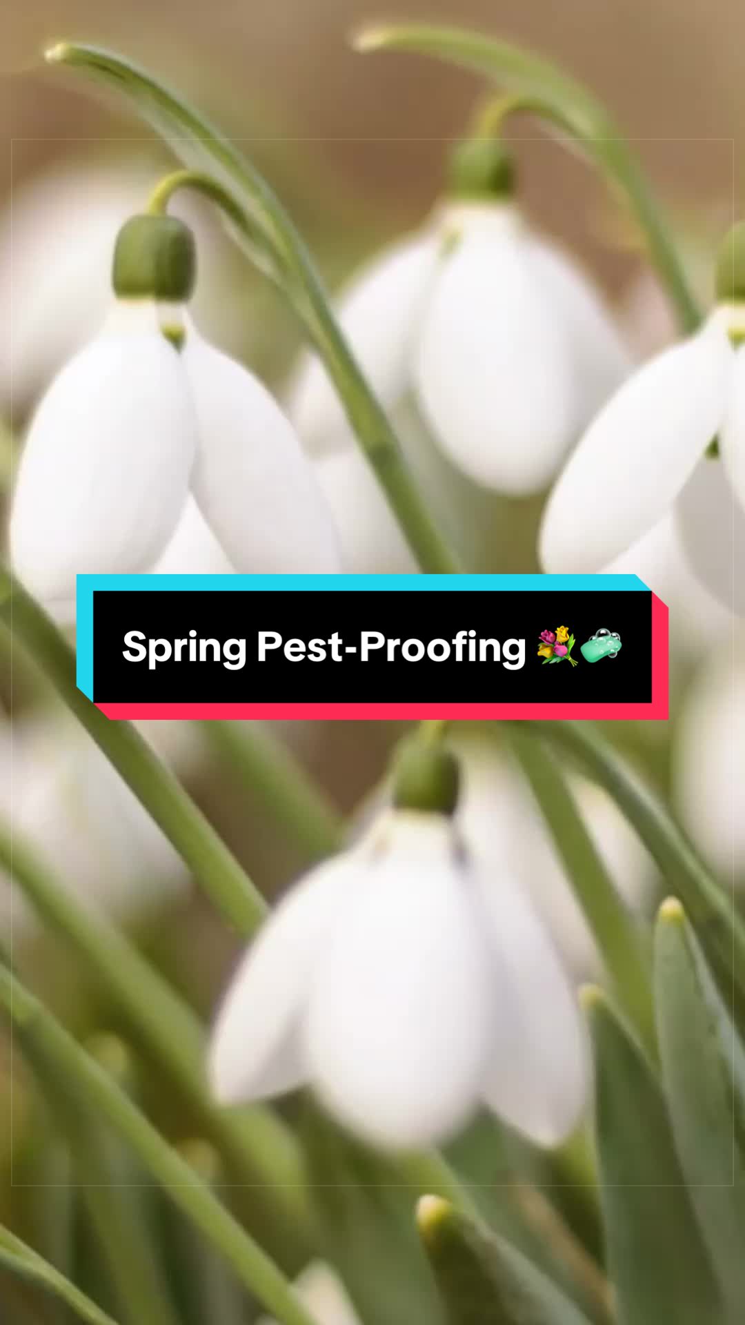 @PestWorld