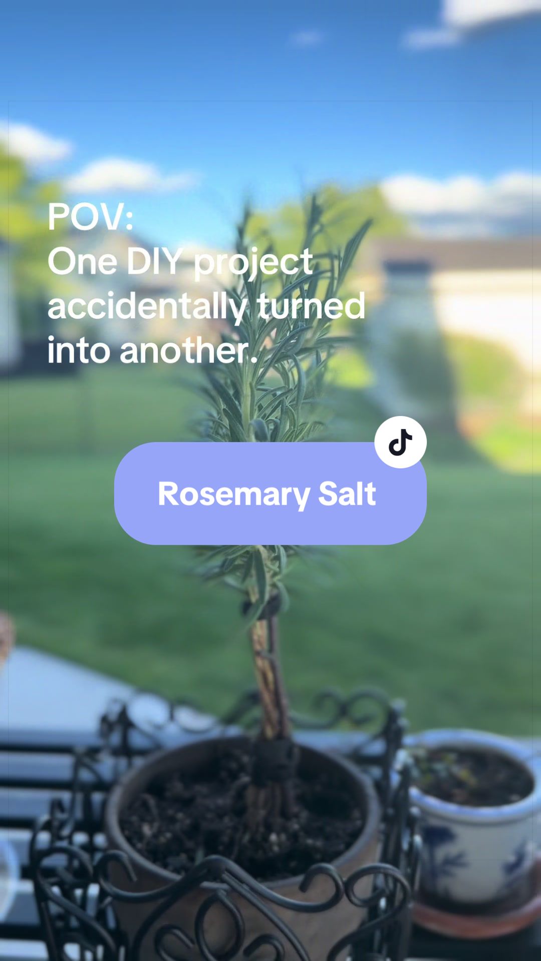 @tiffanycurates