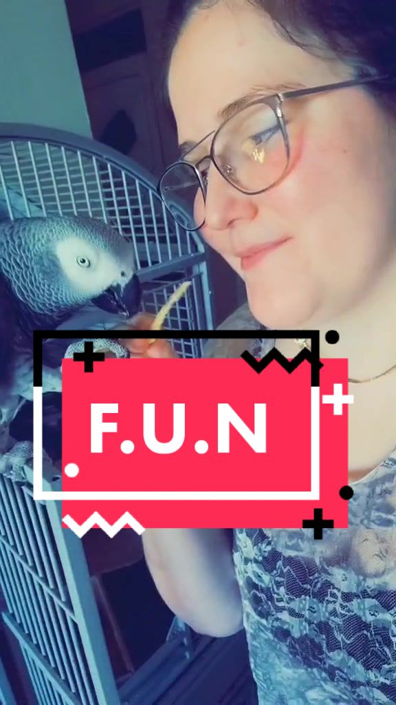 @Ben the bird