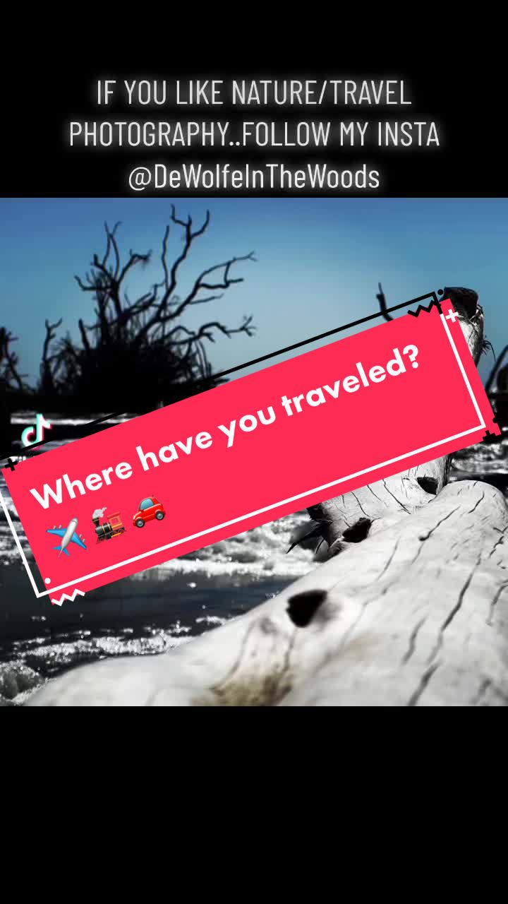 @DeWolfeInTheWoods