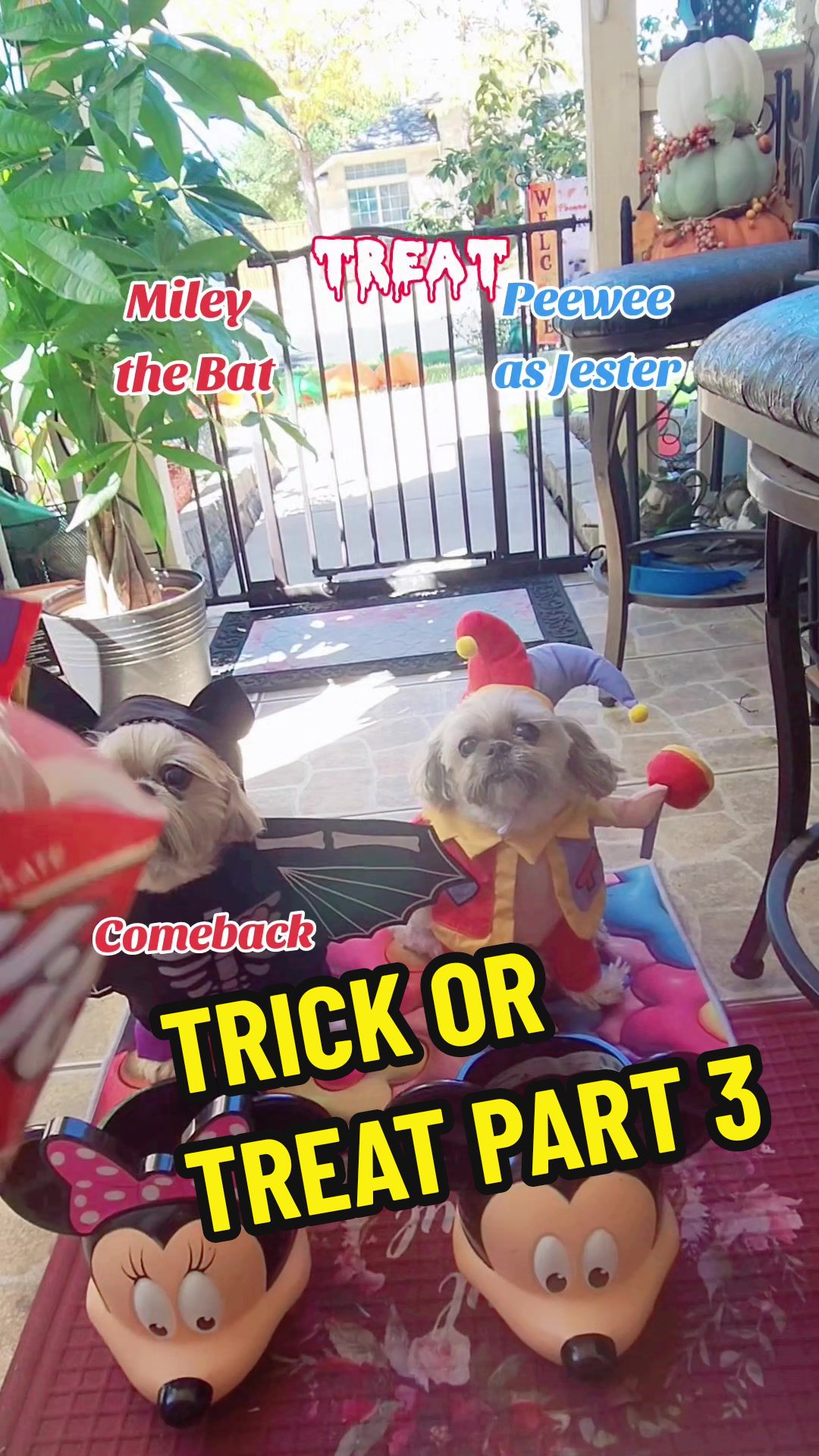 @peeweeandmiley