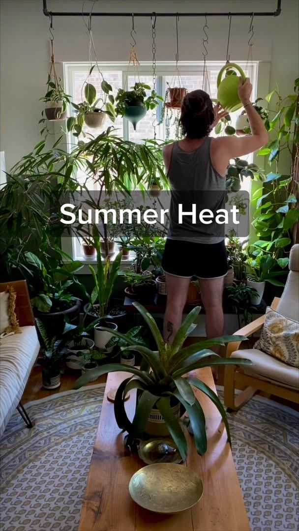 @Plant Daddy Podcast
