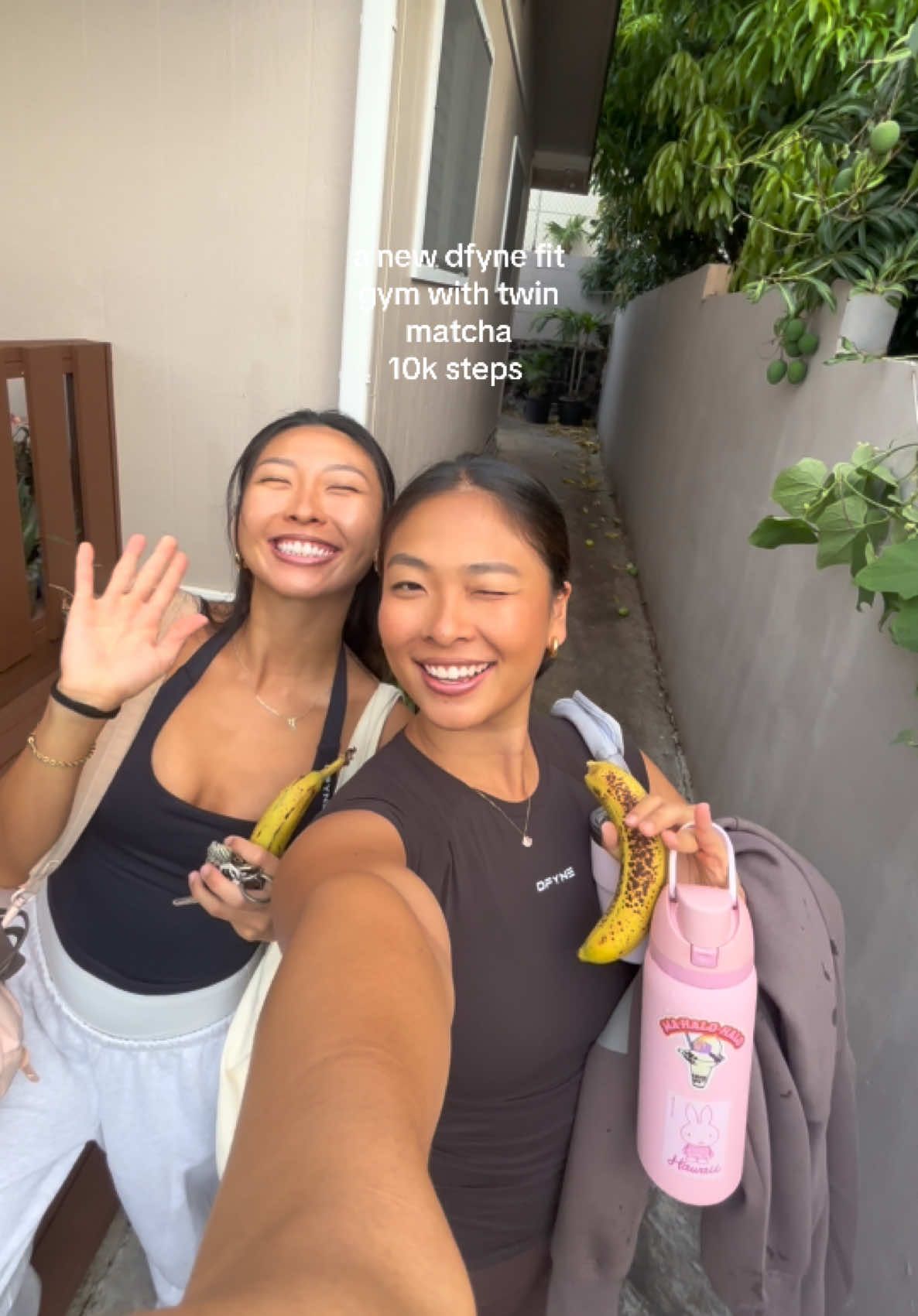 @🥭