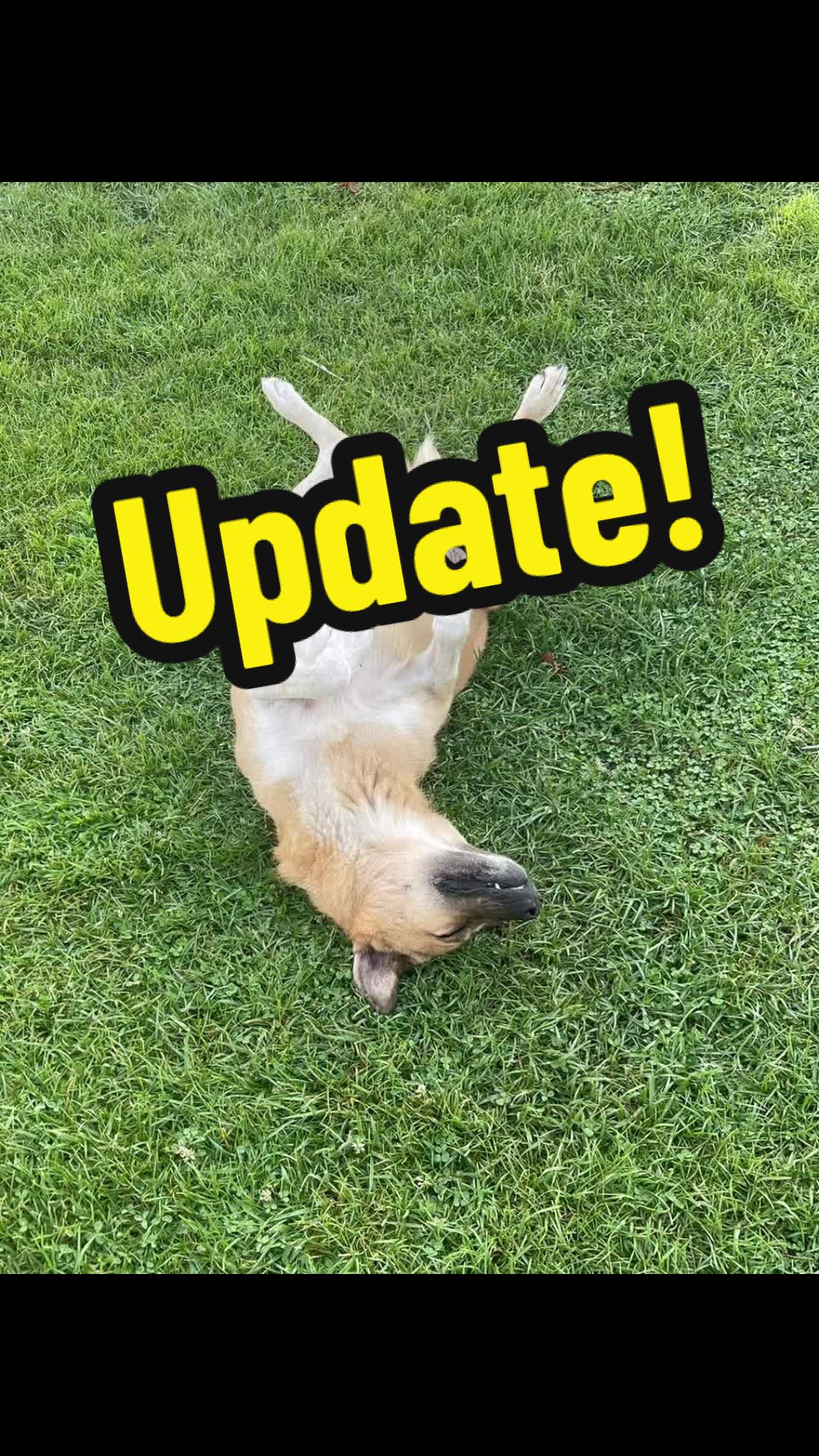 @Pet_Friendly_Planning