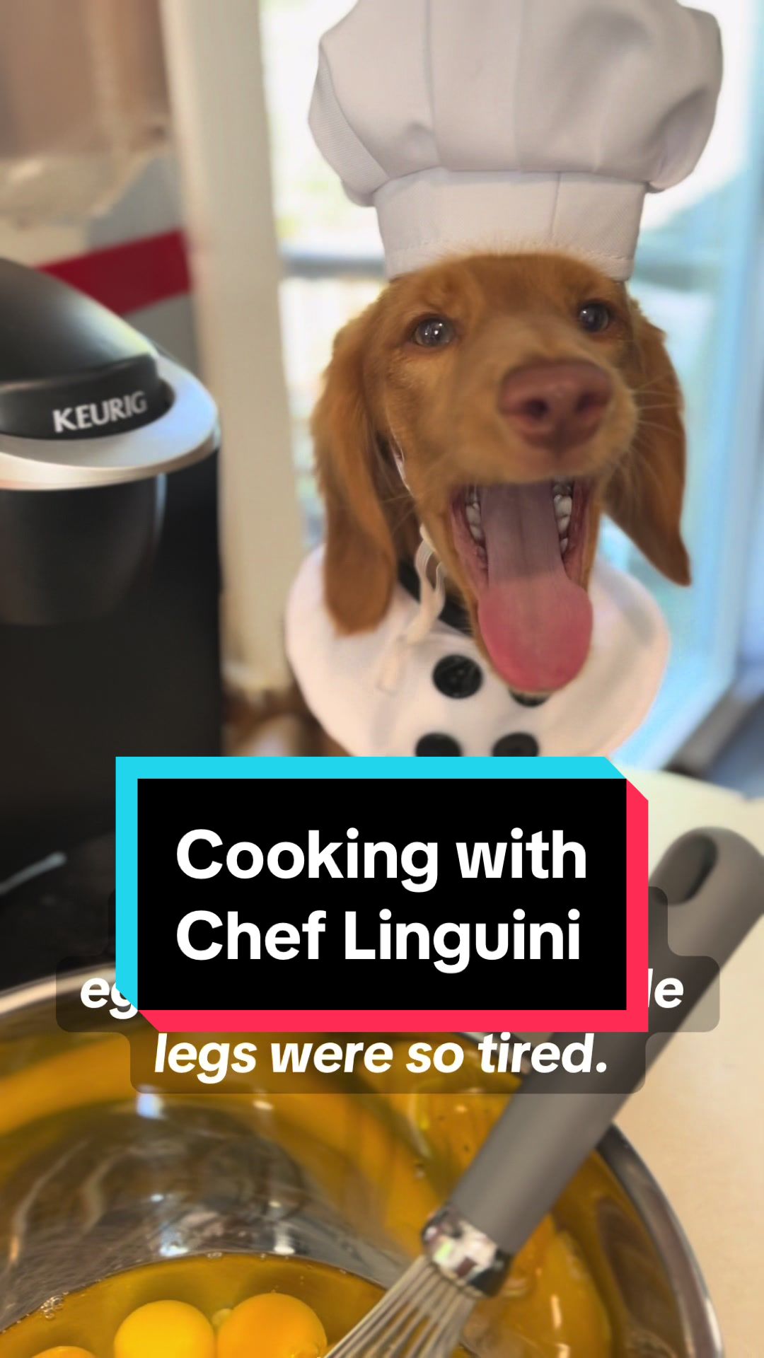 @Chef Linguini 🐶👨🏻&zwj;🍳