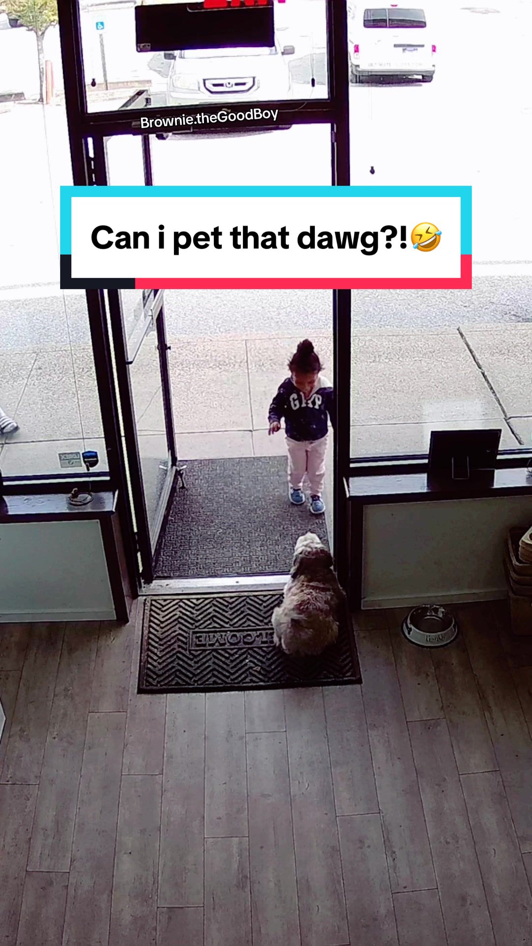 @Brownie #1 Store Dog Greeter
