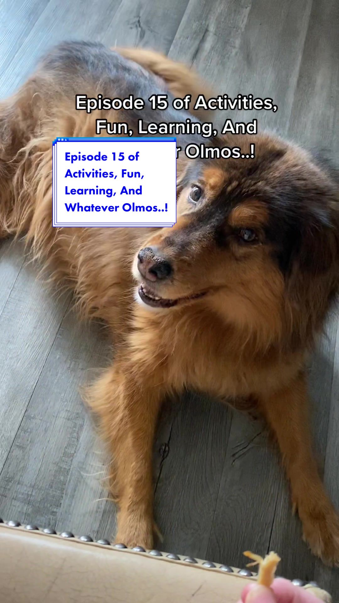 @AOisAimeeOlmos