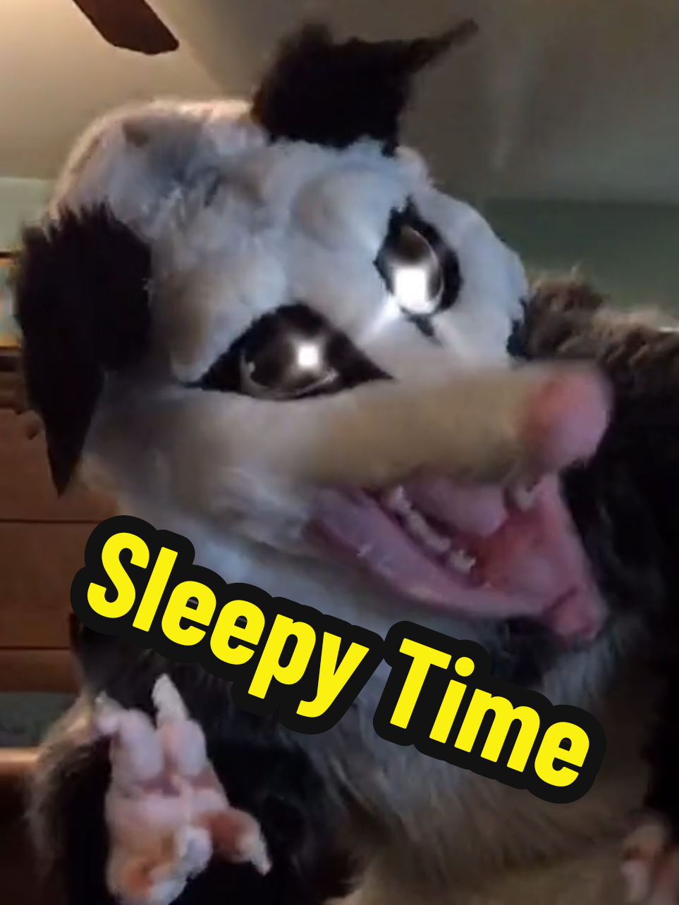 @ProfessorBees
