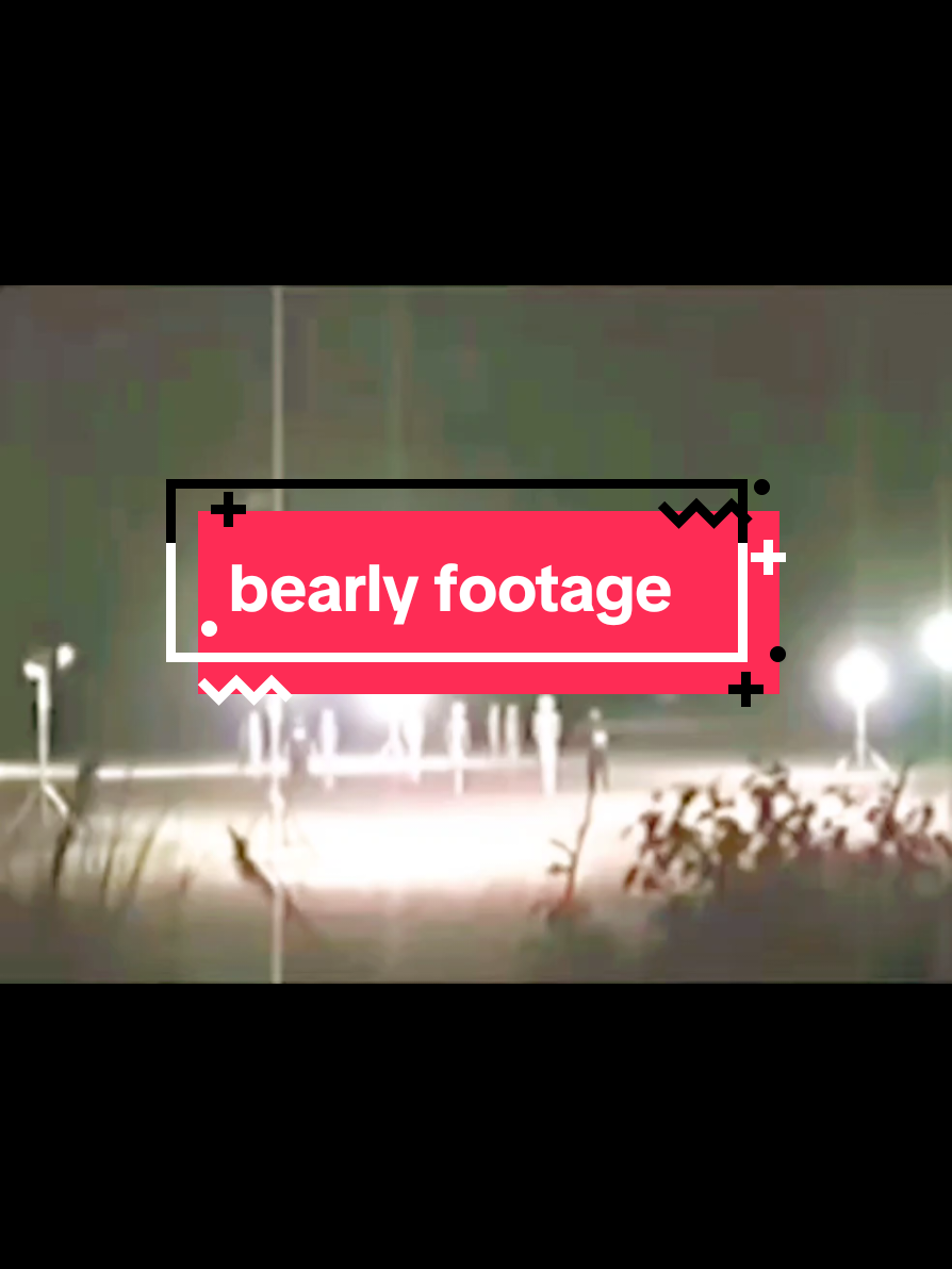 @bearlyconspiracies