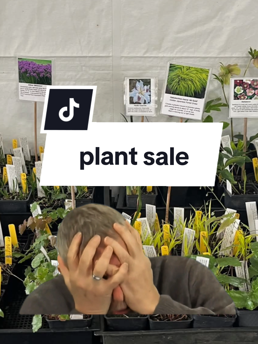 @Seed To Bloom