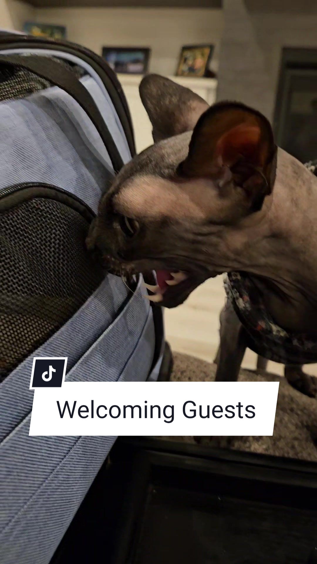 @kyoto.jack.sphynx