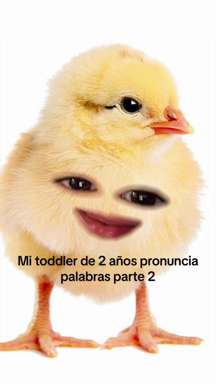 @Vidia Gisselle