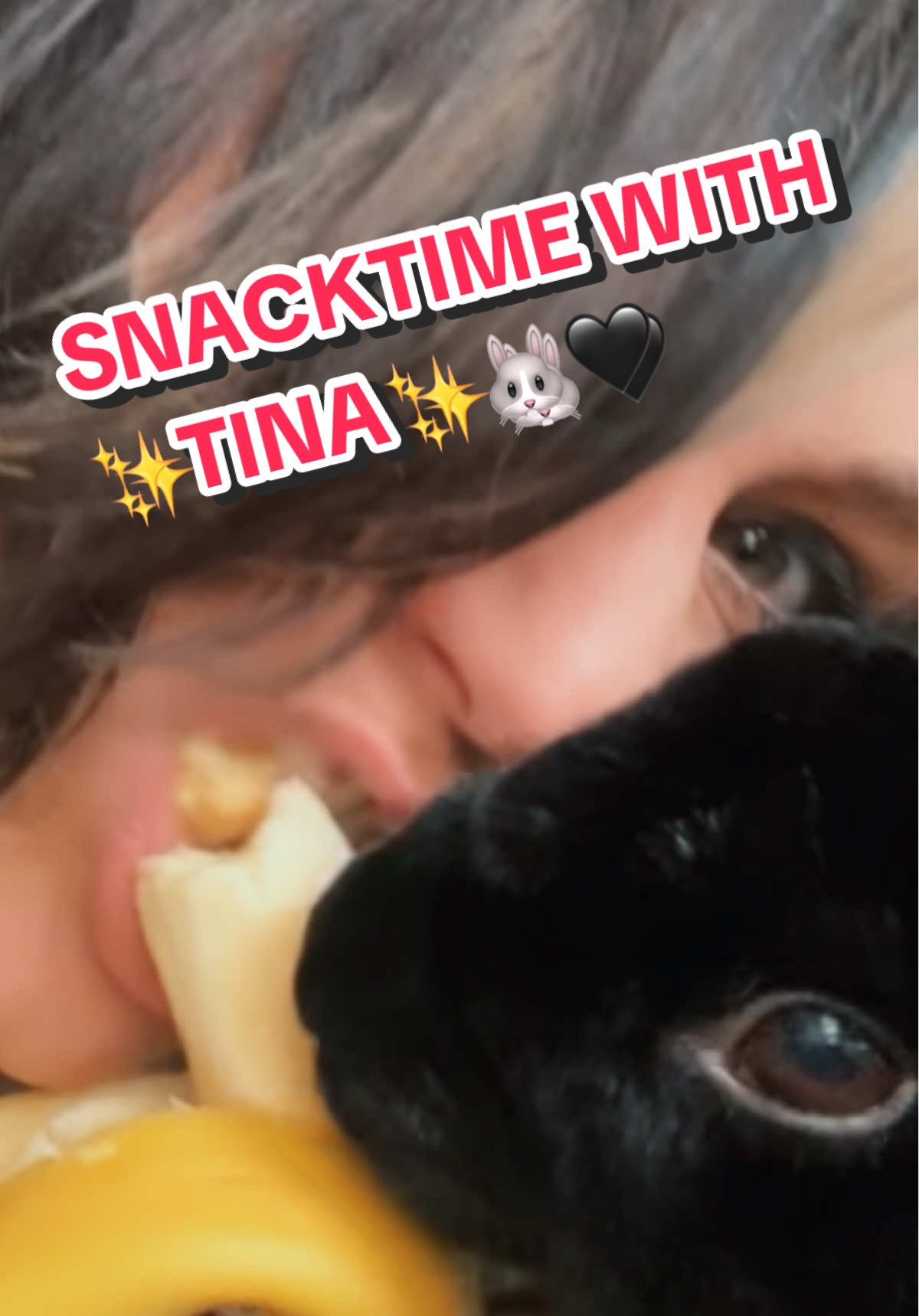 @mollyjmo