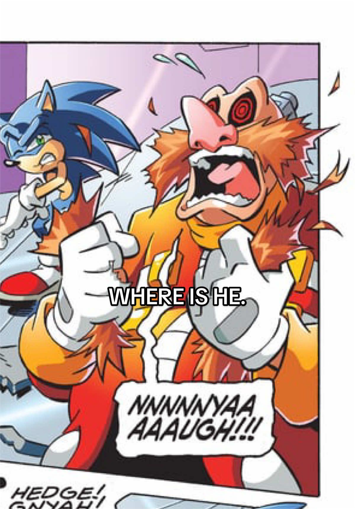 @Eggman_connoisseur