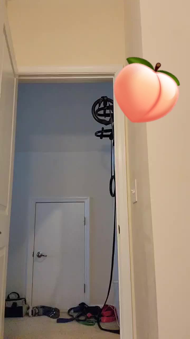 @CheshiBear