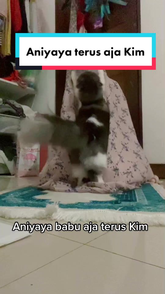@Kimmy Kun