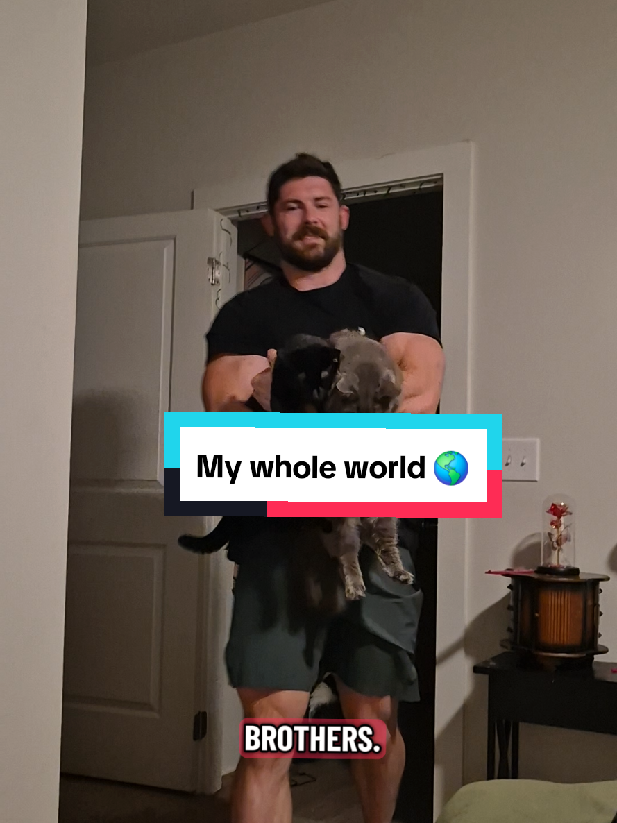 @TheMADalorian