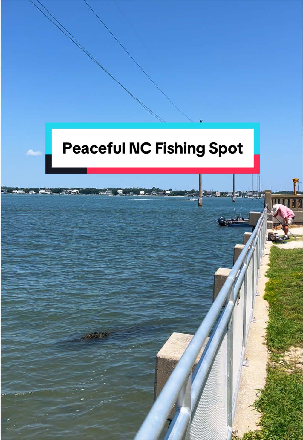 @Leaf & Tide | NC Coastal Gems