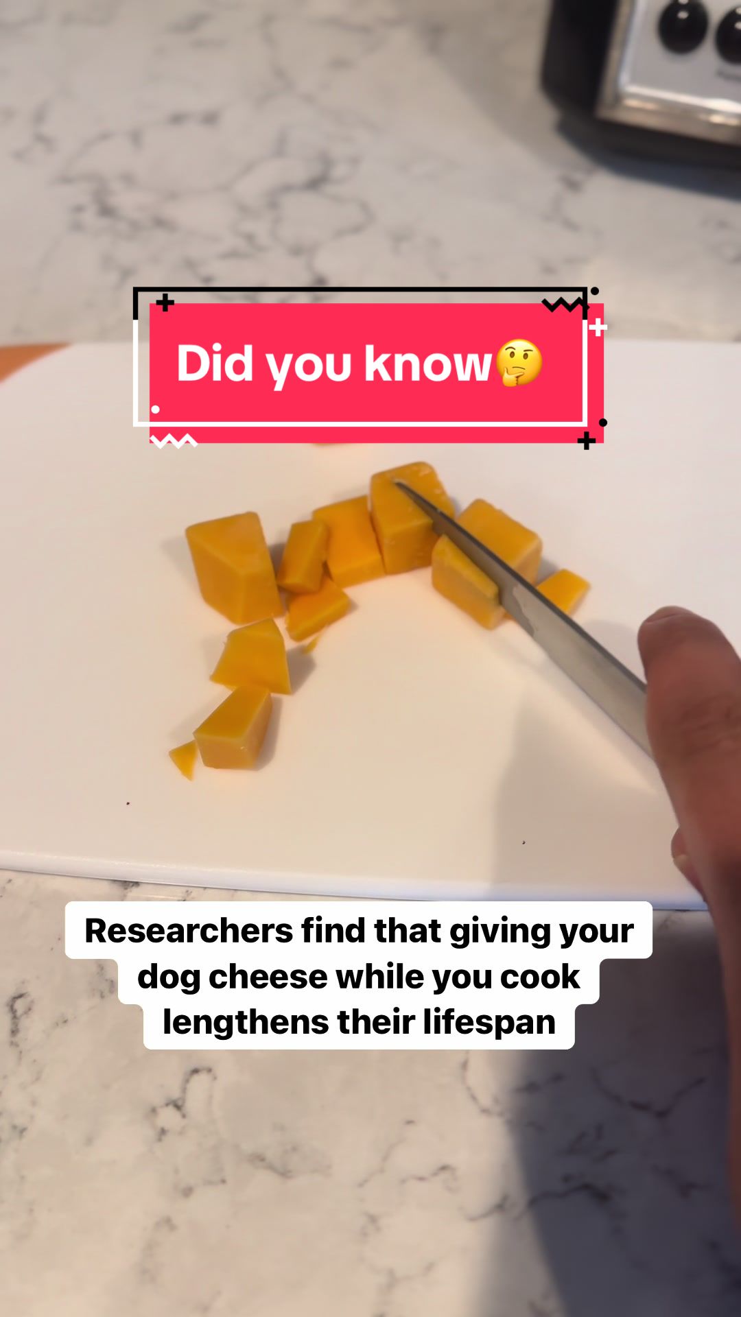 @captivatingk9s