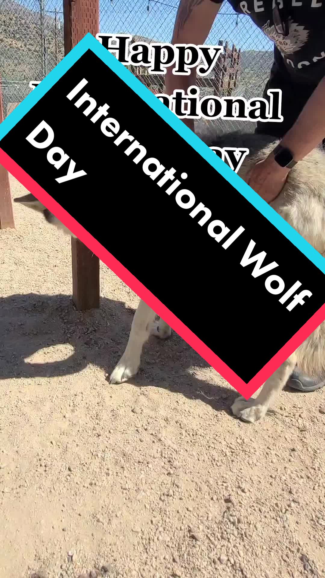 @Howling Ridge Co