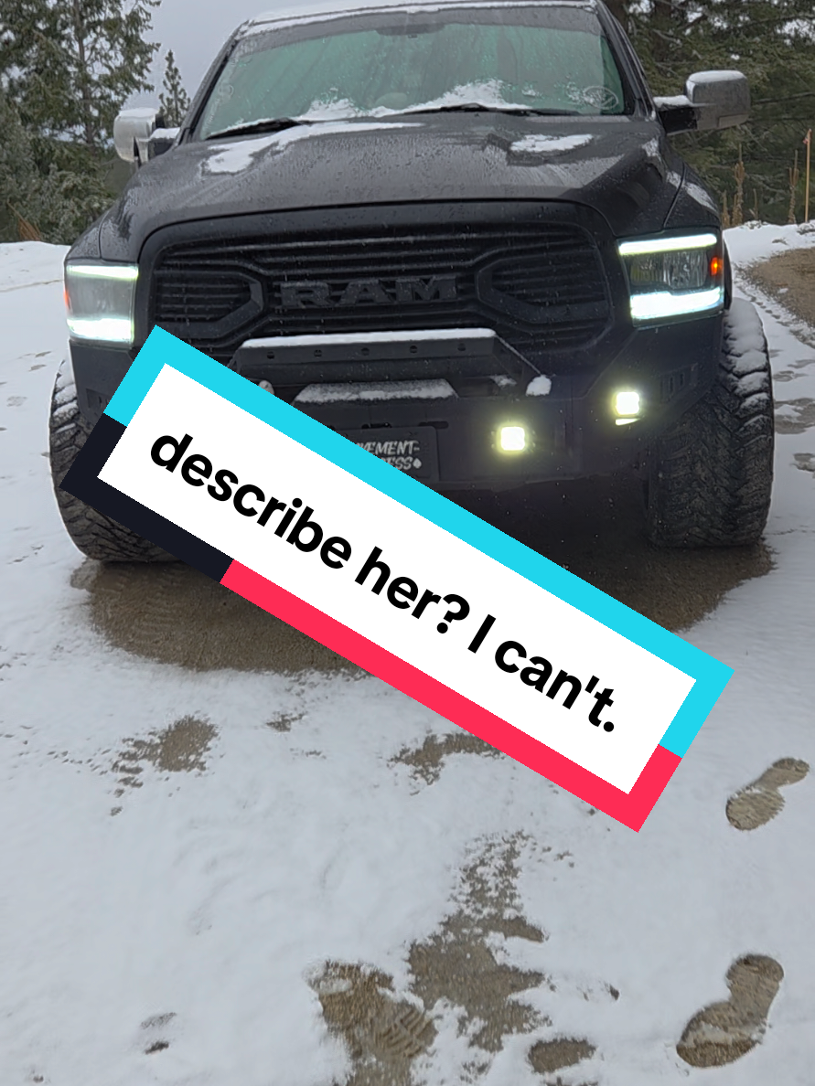 @D. STANLEY🔥
