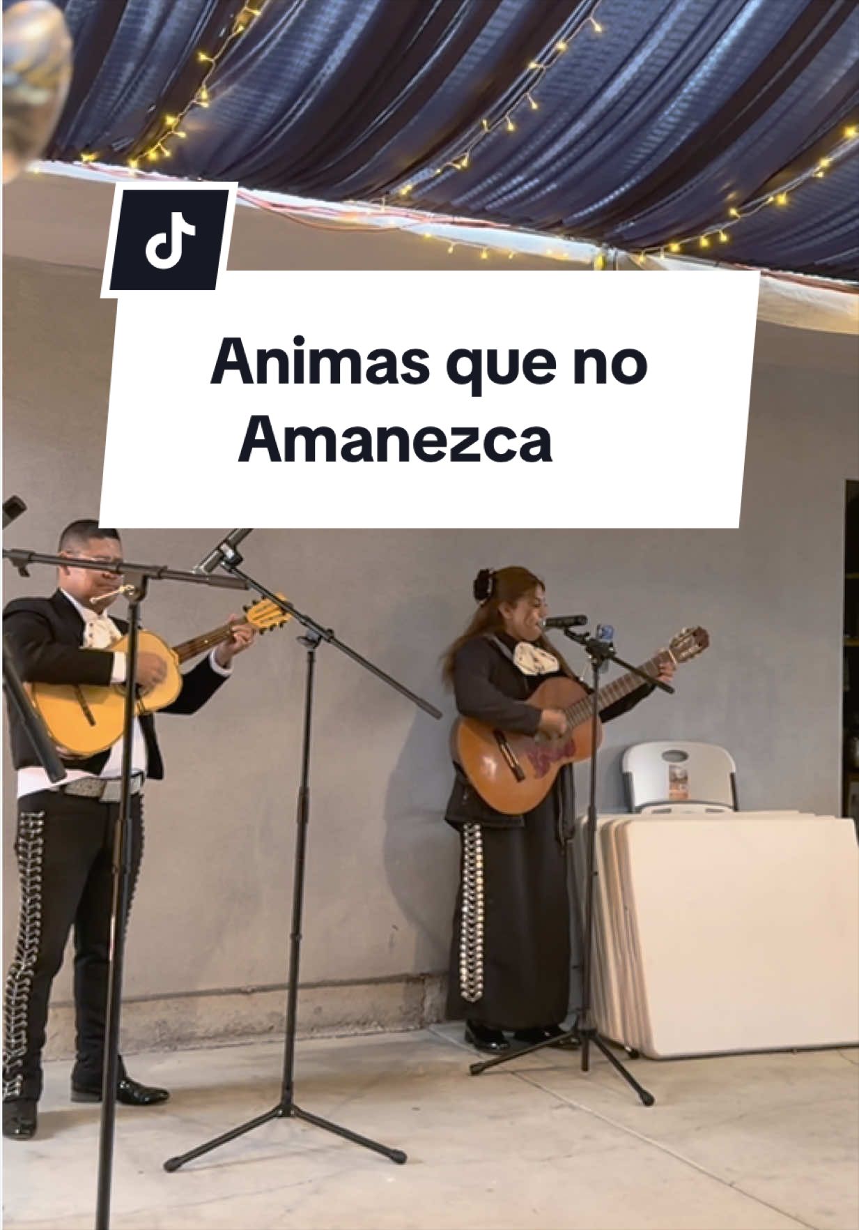 @Mariachi Zacoalco