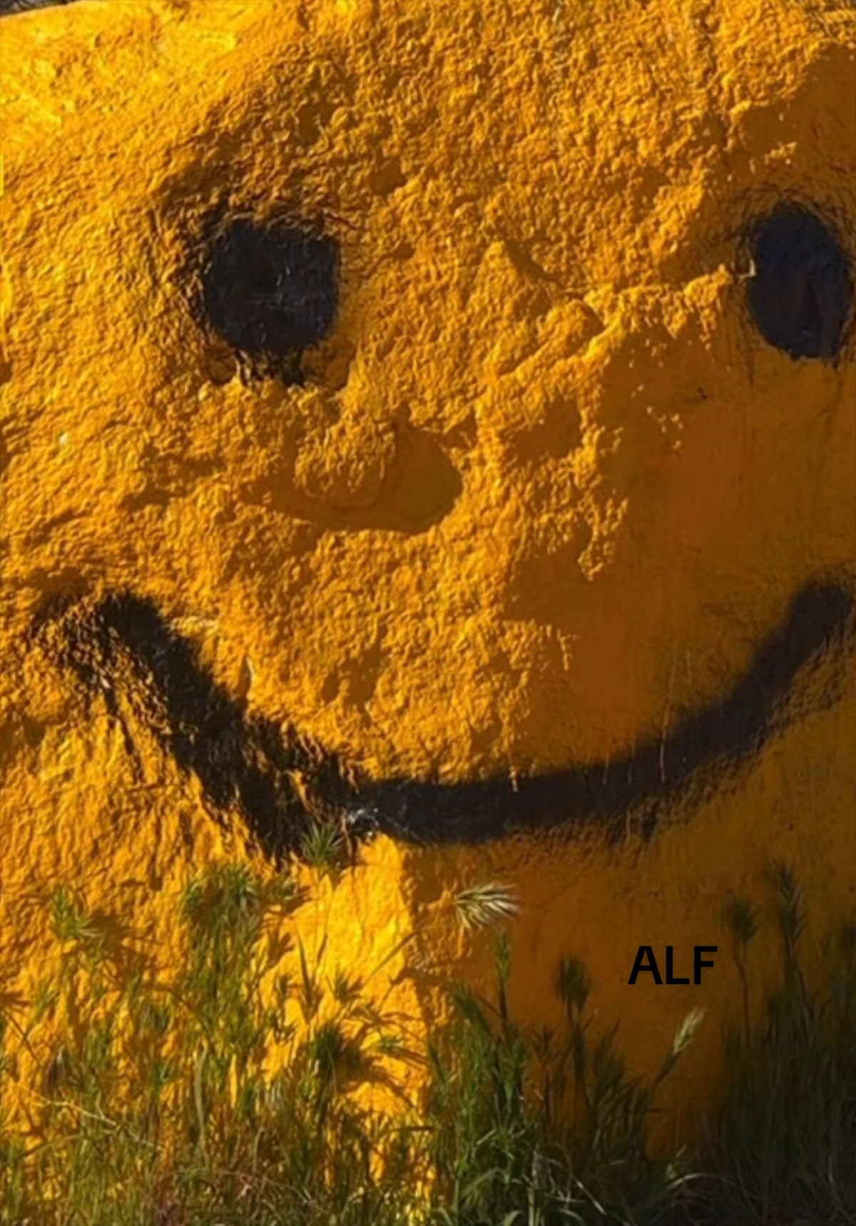 @trippy alf