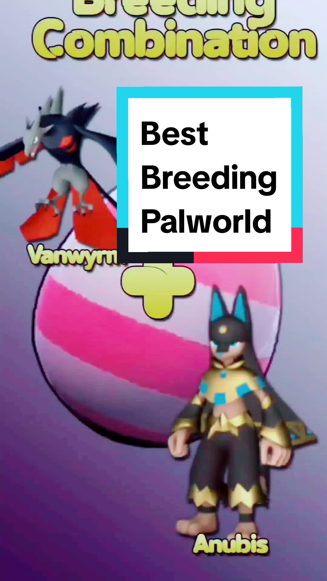 @palwordapk