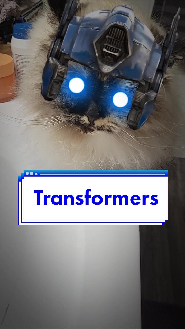 @CatWith
