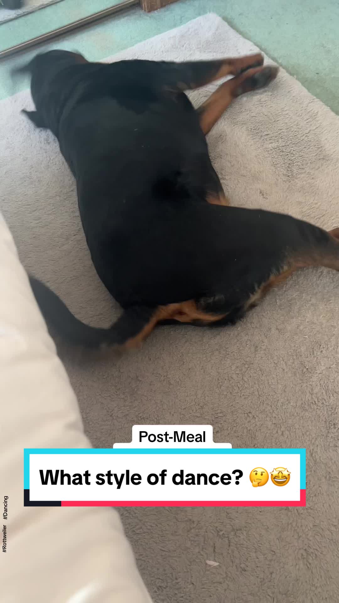 @Tiny Bear & Tiny Horse