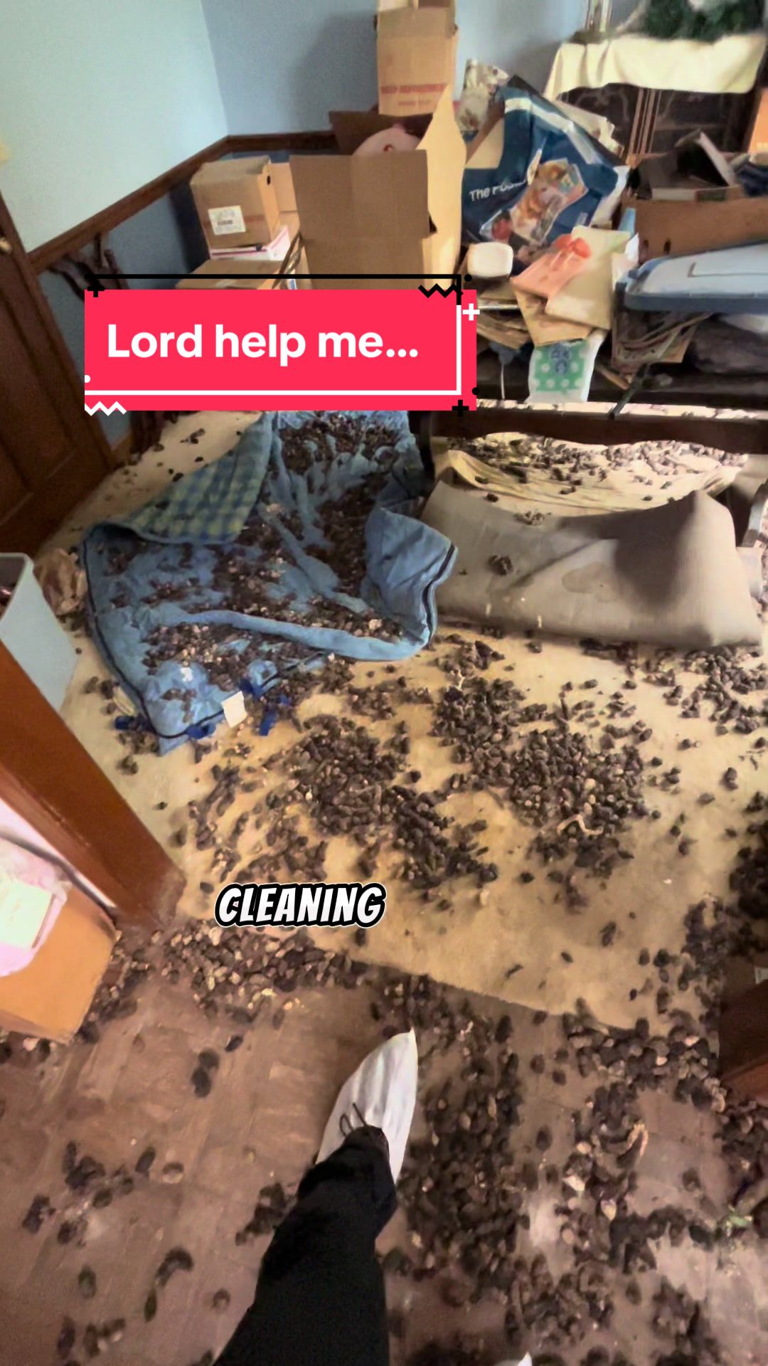 @Biggie Clean
