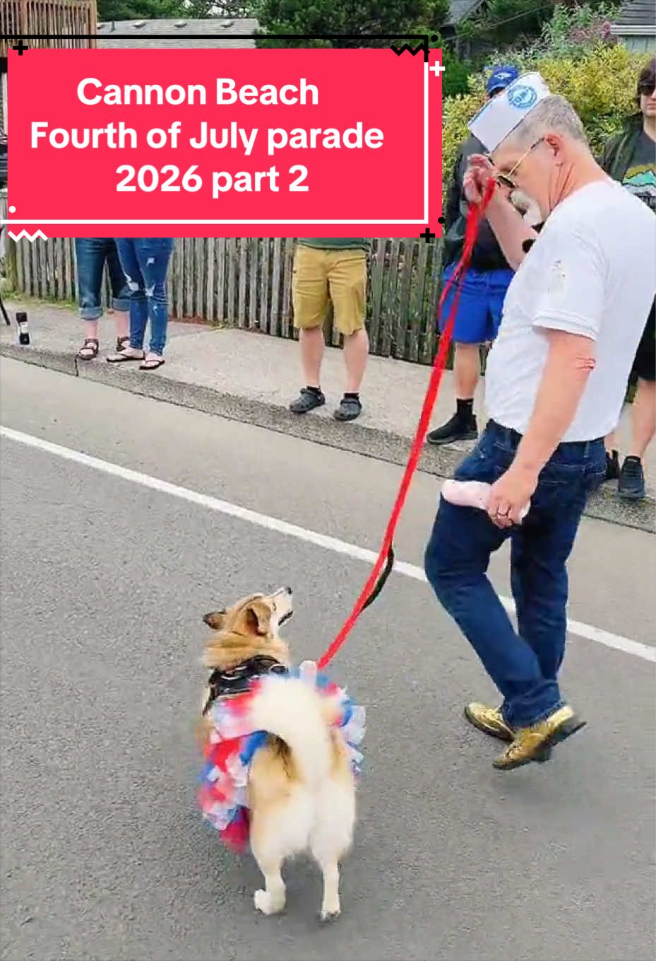 @Ruby the Pomsky
