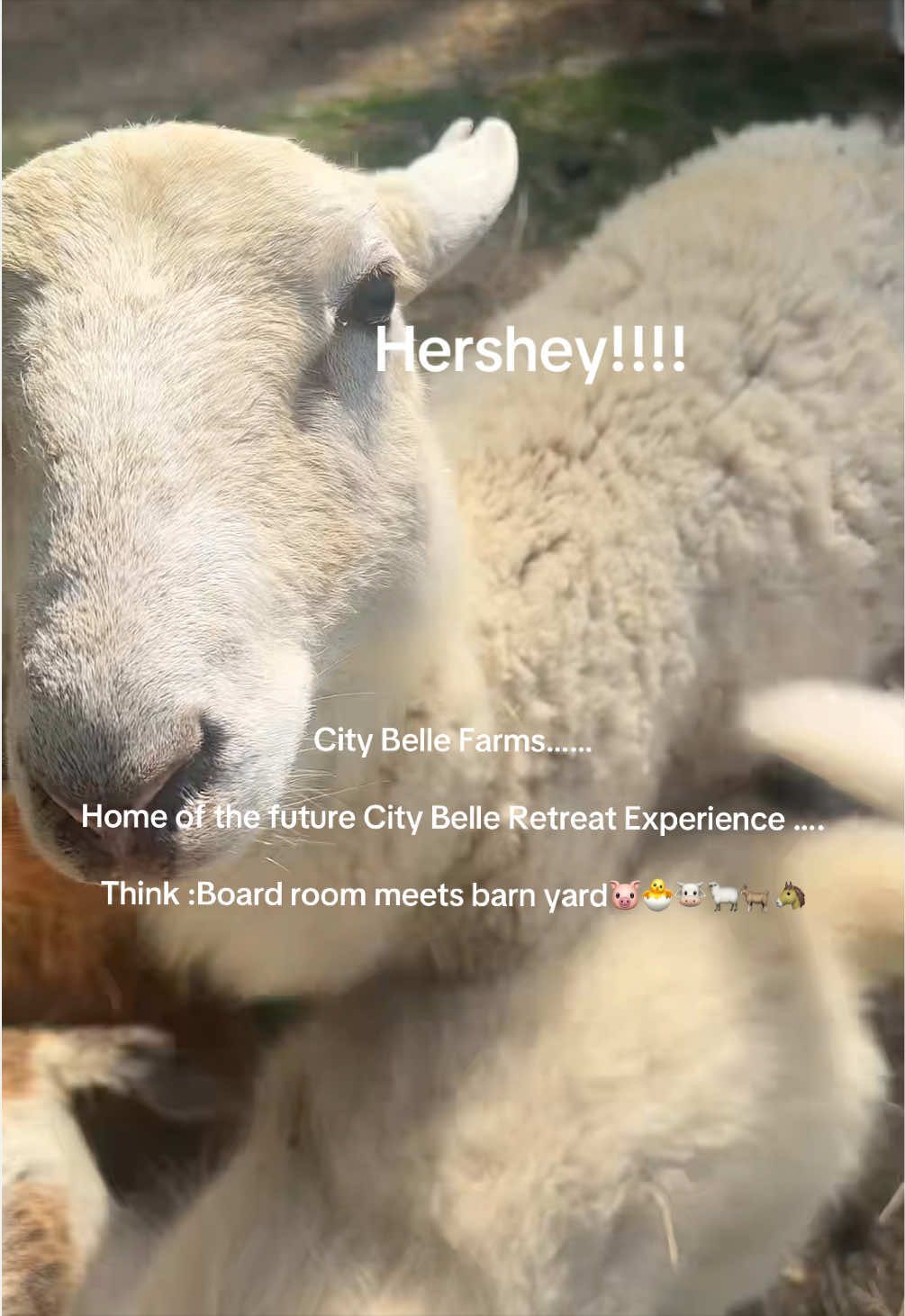 @Joy Aukema