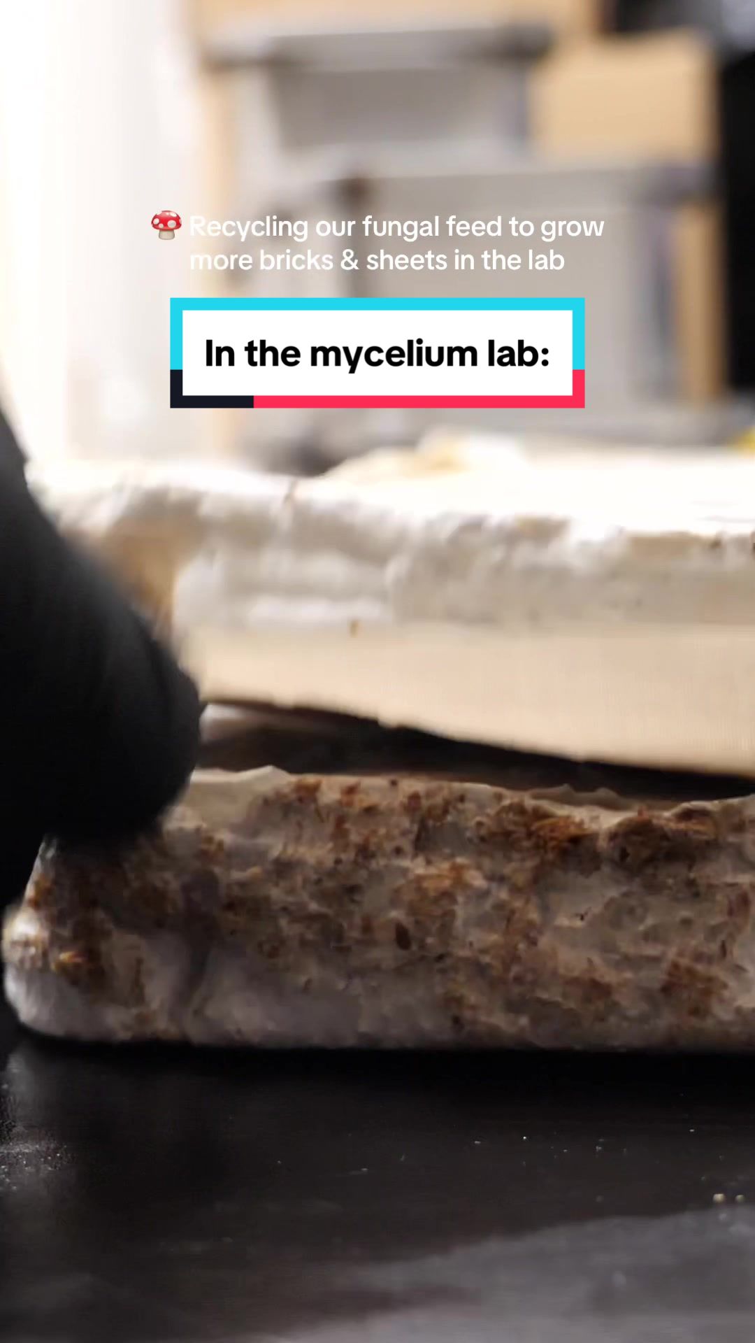 @MycoWorks